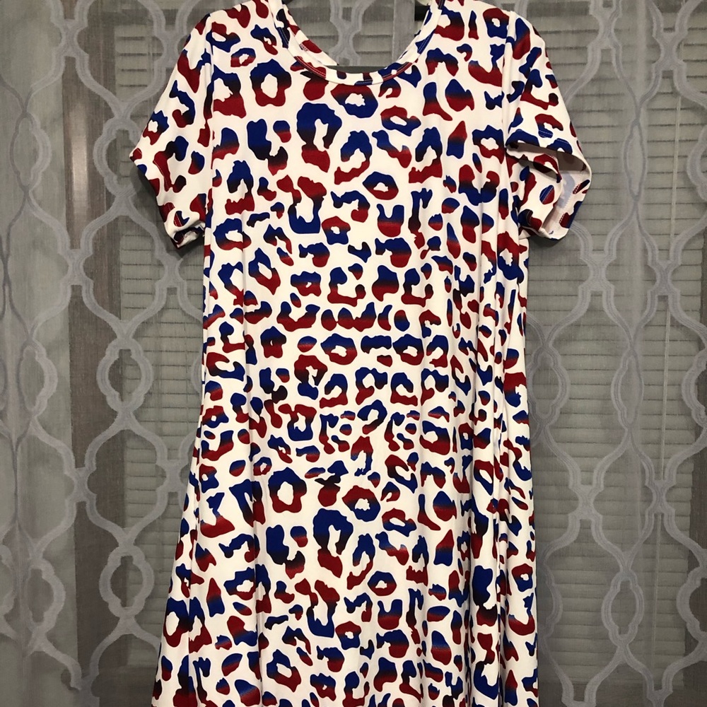 LuLaRoe Jessie Dress